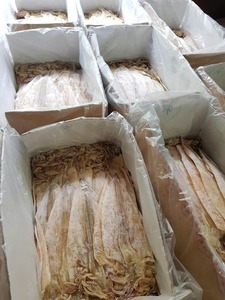 Calamar Congelado 100% Natural de Alta Calidad para Saltear, Guisar, Ensaladas, Sopas y Bocadillos Fritos, en Bolsa al Vacío de 1 kg, Marca Viet Delta - Product Image 4