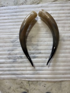 Paire de cornes de bison polies, décoration murale, design Art Déco, grande taille de 27 à 35 pouces, pour mariage, anniversaire - Product Image 2