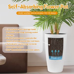 Juego de 2 Macetas Altas de Imitación de Ratán para Interiores y Exteriores, con Monitor de Nivel de Agua y Sistema de Riego Automático - Product Image 3