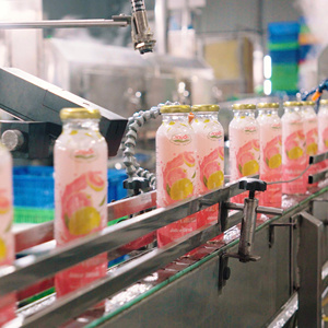 Jugo de Naranja Nawon, Buen Precio, Jugo de Fruta en Botella de Vidrio, Caja de Cartón, Producto Vietnamita, Fabricante, Venta al por Mayor, OEM/ODM - Product Image 6