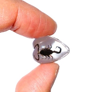 Scorpion noir, spécimen réel, cabochon en plastique, cœur 17x21 mm, fond plat transparent, pour artisanat et fabrication de bijoux - Product Image 2