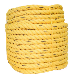 NTR Poliéster PP CUERDA Nylon 4 20mm Cubierta PPT Color Característica Material Origen Core TyPP Alto modelo duradero Portugal para exportación - Product Image 2