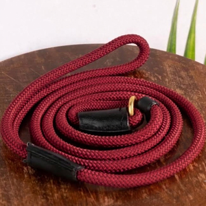 Top Trending Comfortable Nylon PP <b>Horse</b> <b>Lead</b> <b>Rope</b> with Solid Metal Snap Hook Customized Length Bulk Order accepted - Product Image 6