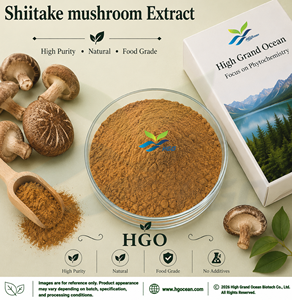 HGO Suministro directo de fábrica de extracto de hongo Shiitake natural puro (grado alimenticio) Especificación 4:1 (extracto de proporción) - Product Image 1