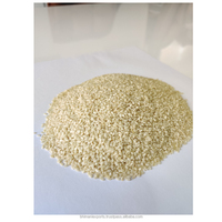 Graines de sésame décortiquées fraîches 100% naturelles sans OGM d'origine indienne, du premier exportateur, en sacs tissés de 25/30/50 kg, humidité 6-7%, 1000 kg