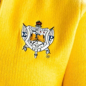 Women's Sigma Gamma Rho Classic Gold Knit <b>Cardigan</b> Custom Embroidered Zipper Front Winter <b>Thick</b> Sweater Elegant Sorority Apparel - Product Image 6