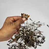 Pointes de corne de buffle naturelles faites à la main, brun clair, durables, objets d'art et de collection, forme irrégulière moderne, composants artisanaux pour lunettes