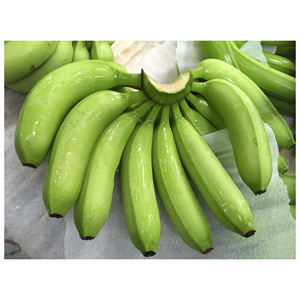 MEJOR PRECIO PARA PLÁTANOS CAVENDISH FRESCOS AHORA MISMO CON CALIDAD PREMIUM - Product Image 5