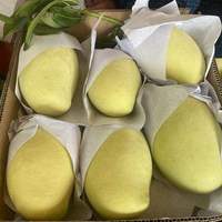 Bestseller Darlac Farms IQF Diepvries Mango Schijfjes Bulk Vacuüm Verpakt Private Label OEM Fruitleverancier HACCP/ISO Vietnam