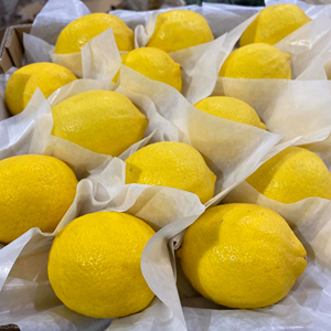 Vente en gros de citrons Eureka, qualité constante pour les marchés de détail et de services alimentaires - Product Image 1