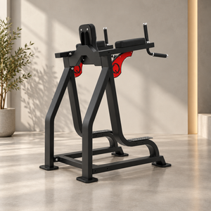 QLI QLRD065 Appareil de musculation professionnel de haute qualité et durable à charge libre pour exercices de levage des jambes, dips et renforcement des abdominaux, en acier - Product Image 1
