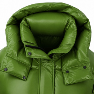Hooded Stand Collar Front Custom Logo Casual Outdoor Thermal Coat Custom Bubble Front Logo Hooded Men's Casual Outerwear Puffer - Product Image 6