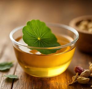 Huile Essentielle Pure Pressée à Froid de Gotu Kola et Centella Asiatica Biologiques Sauvages avec Parfum Herbal Terrestre pour Tous Types de Peau - Vente en Gros - Product Image 6