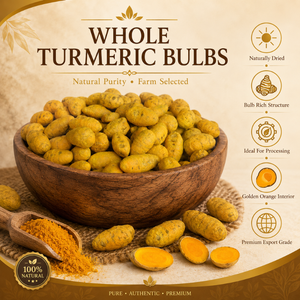 Bulbes de curcuma en vrac |   Haldi de Lakadong pour la production de mélanges d'épices, applications de transformation et de fabrication alimentaire, utilisation en vrac - Product Image 6