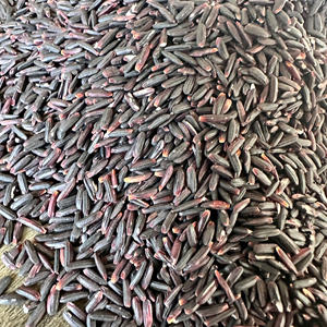 ข้าวดำเมล็ดยาว ปลอดจีเอ็มโอ ปราศจากสารกำจัดศัตรูพืช มีคุณค่าทางโภชนาการสูง - ข้าวต้านริ้วรอย ราคาดี - เจคอบ ฟาม - Product Image 4