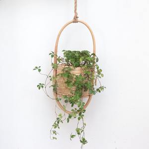 Pots suspendus en rotin faits à la main, best-sellers, accessoires de décoration de jardin - Product Image 6