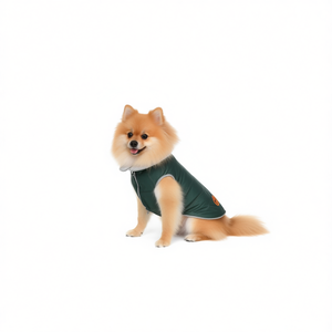 Impermeable grueso con cuello alto para mascotas, abrigo para perros, ropa exterior resistente al agua, talla pequeña - Product Image 3