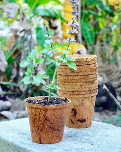 Pots à fleurs en fibre de coco de qualité supérieure fabriqués au Vietnam, pots à plantes écologiques biodégradables, fournisseur en gros - Product Image 4