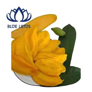 Tranches de mangue séchées biologiques premium, douces, procédées par lyophilisation, collation saine et écologique pour les végétaliens et la pâtisserie - BLUE LOTUS - Product Image 1