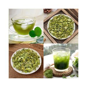 CENTELLA ASIÁTICA SECADA NATURAL PARA EXTRACTO EN POLVO Y TÉ HERBAL, HOJAS DE PENNYWORT FAVORITAS DE LOS PERSONAS MAYORES, OFERTA ESPECIAL EN GRAN CANTIDAD - Product Image 6