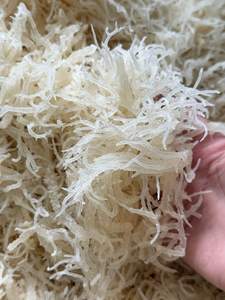 Alga Marina Eucheuma Cottonii Seca y Sazonada Orgánica de Alta Calidad en Bolsa con Proceso AD - Mejor Precio Sra. Lily - Product Image 5