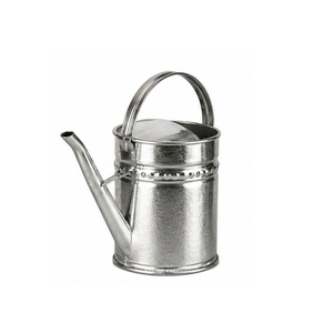 Vintage Stylish Metal Water <b>Cane</b> Home <b>Garden</b> Decorative Outdoor Use Watering Can - Product Image 1