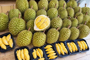 Durian Congelado IQF Premium - 100% Natural, Sabor Rico, Listo para Comer o Usar en Postres y Smoothies/ Sra. ALINA - Product Image 1