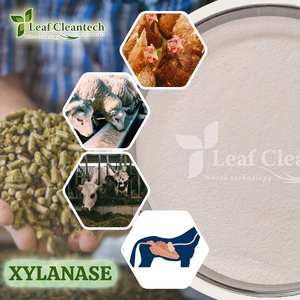 Enzima de xilanasa para alimentación animal Aves de Corral Porcina Aqua Nutrition Mejora la digestibilidad y el rendimiento | Enzimas de alimentación animal | - Product Image 2