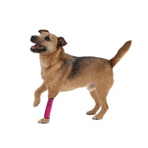Manicotti Protettivi Riflettenti in Neoprene per Animali Domestici, Supporto per Articolazioni - Product Image 2