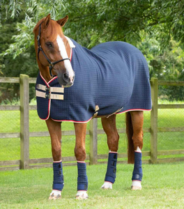Couverture d'extérieur personnalisée haut de gamme pour chevaux 2026 – Imperméable, respirante et durable - Product Image 1