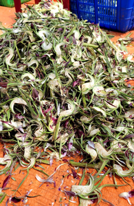 Flor de Alcachofa para Té, Ingrediente 100g, Paquete Minorista de Vietnam, Material Botánico Natural para Preparar Té y Bebidas - Product Image 4