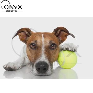 ลูกเทนนิสคุณภาพพรีเมียมรุ่นใหม่ มองเห็นได้ชัดเจน ทนทาน พร้อมปลอกหุ้มแบบหนา สมดุลความเร็วและความควบคุมได้อย่างสมบูรณ์แบบ ขนาดมาตรฐาน - Product Image 6