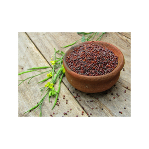 Semillas de Mostaza Amarilla Secas de Alta Calidad, Granos Crudos Naturales, Alimento Saludable - Product Image 4