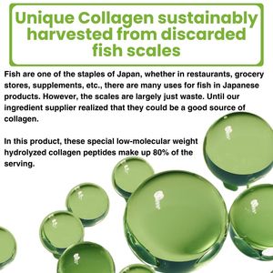 Sachet de thé de santé japonais Matcha Collagène Latte Boisson de beauté fonctionnelle pour la fermeté de l'hydratation de la peau Service OEM disponible - Product Image 5