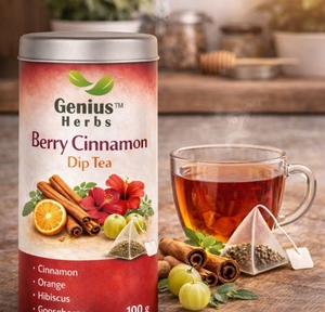 Premium Berry Cinnamon Natural Dip Tea Bags Antioxidant Herbal Drink for <b>Wellness</b> and Fitness - Product Image 2
