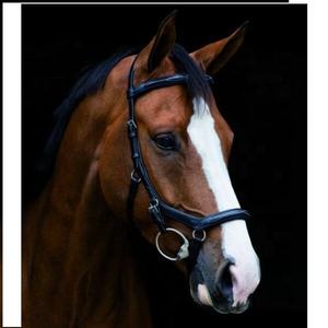 Eafher-Borde de frente blanco cosido, arco Avana-ARGE - Product Image 1