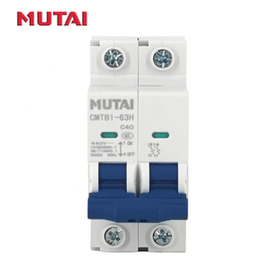 MUTAI Factory AC <span class=keywords><strong>Disyuntor</strong></span> 16 <span class=keywords><strong>20</strong></span> 25 32 50 63 <span class=keywords><strong>Amp</strong></span> MCB Precio 2 Polos 2 P <span class=keywords><strong>Disyuntor</strong></span> eléctrico en miniatura - Product Image 2