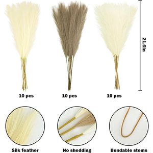 30 Pezzi di Erba della Pampa Artificiale Corta e Soffice da 55 cm, Steli Colorati per Riempimento Vasi e Composizioni Floreali - Product Image 4