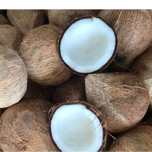 มะพร้าวอบแห้ง EXPAD รูปทรงยาว บรรจุ 100 กก. อายุการเก็บรักษา 6-12 เดือน น้ำตาล 0-5% ความชื้น 0-0.5% เมืองโฮจิมินห์ - Product Image 5