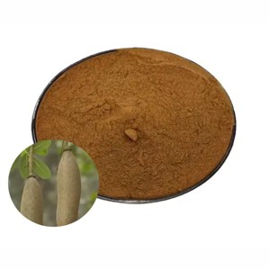 <b>Best</b> Selling Kigelia Fruit Powder 100% Pure & Natural Kigelia Africana Powder for Skin Care, Firming & Cosmetic Use from India - Product Image 1