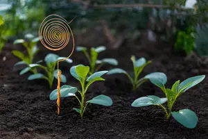 Varillas de Cobre 100% Naturales para Cultivo Electrolítico en Jardín, para Estimular el Crecimiento de las Plantas y la Salud del Suelo, a Precio de Mayoreo - Product Image 5