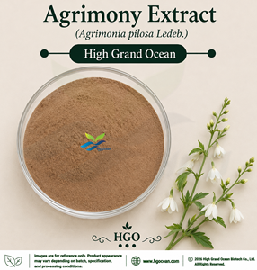 Suministro Directo de Fábrica HGO, Extracto de Agrimonia (Agrimonia pilosa Ledeb.) Extracto de Grado Alimenticio en Proporciones 4:1 5:1 10:1 20:1 100:1 200:1 - Product Image 1