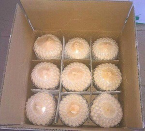 Coco de Vietnam de Buena Calidad y Precio Económico, Coco en Forma de Diamante, Agua de Coco Dulce Joven - Product Image 4