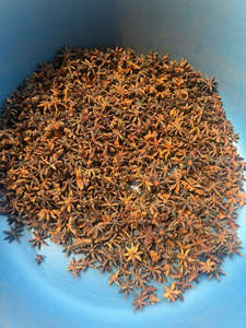 Anís estrellado crudo seco al por mayor, vainas enteras, nueva cosecha de otoño para hornear y preparar té, especias directas de China Spice Hub - Product Image 4