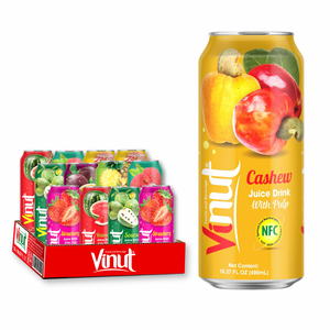 Bebida de jugo de 490ml con pulpa, sin azúcar, variedad de sabores, muestra gratis, etiqueta privada Vietnam - Product Image 1