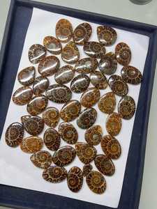 Natural Ammonite Oval Cabochons Polished Organic Gemstones For Jewelry Making Brown Loose Stones By MAHNAJ GEMS , JAIPUR RAJASTH - Product Image 3