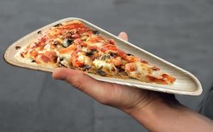 Areca Palm Leaf Disposable <b>Pizza</b> Plates Natural Compostable Food Trays 10 Inches Triangle <b>Shapes</b> Biodegradable Food Platter 2026 - Product Image 4