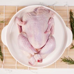 Pollo Entero Congelado IQF HALAL de Primera Calidad del Reino Unido, Empaquetado en Frascos Mason, Sin Grasas Trans, Bajo en Grasas, Envío Inmediato - Product Image 2