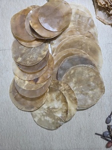 Pieles gruesas de búfalo/vaca de 10 a 26 pulgadas para conga y bongo - Product Image 2