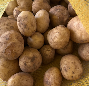 Pommes de terre fraîches de haute qualité, origine positive, <span class=keywords><strong>vente</strong></span> directe, sac de 20 kg, pommes de terre jaunes - Product Image 2
